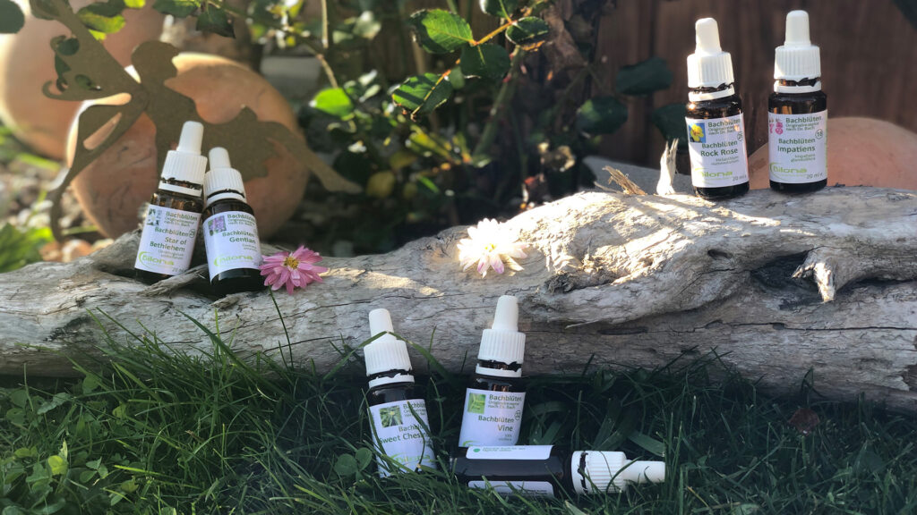 Verschiedene Fläschchen und Sprays von Bachblüten stehen auf einem Baumstamm mit Dekofigur im Hintergrund